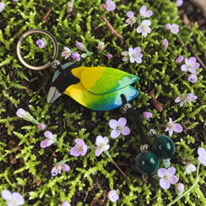 pájaro barranquero 1