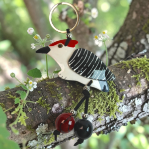 pájaro carpintero 1