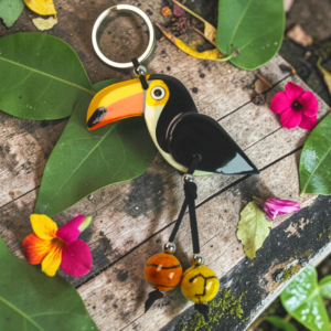 tucán pico amarillo 1