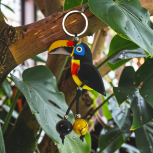 tucán pico sierra 1